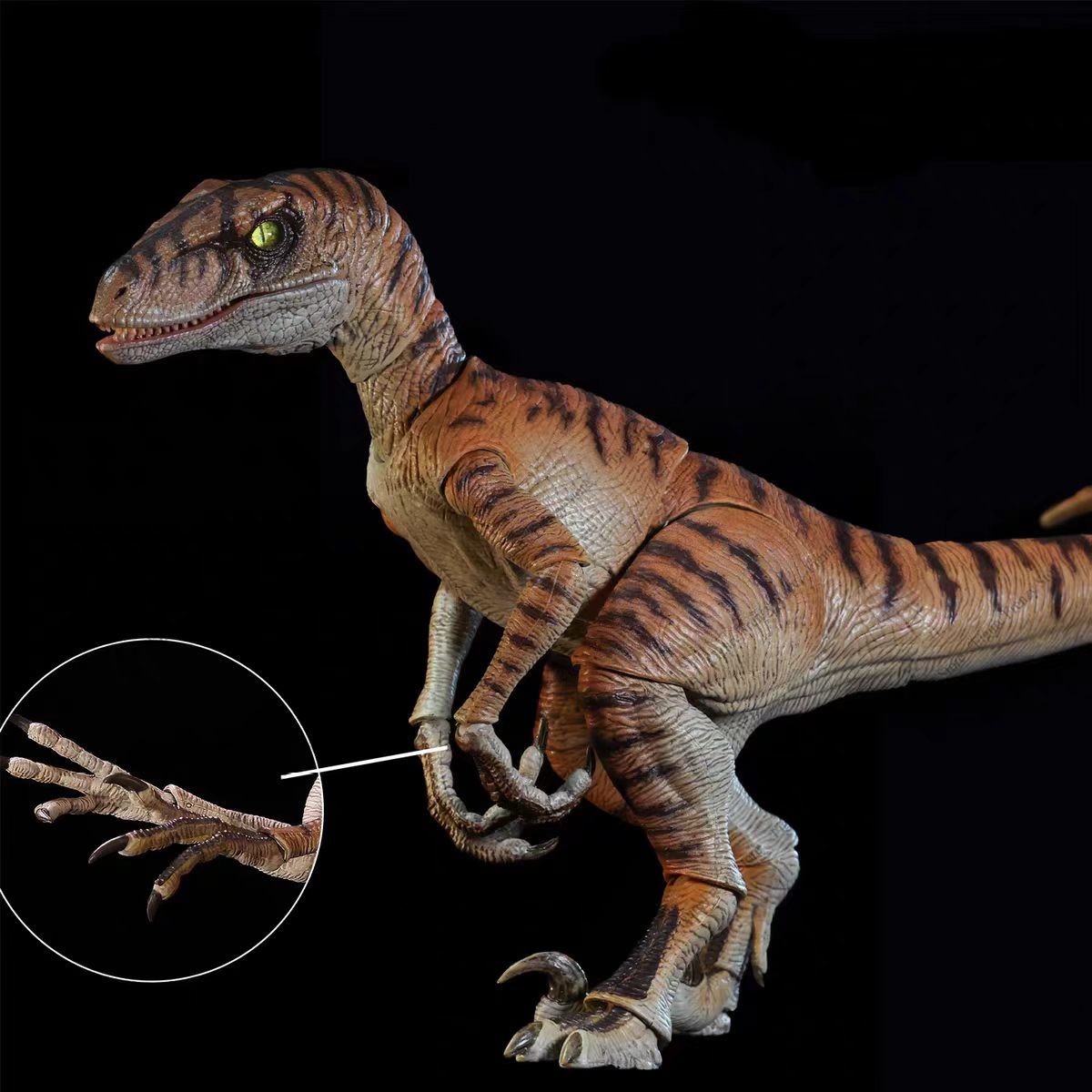 Gloednieuwe NANMU Studio Juras - Model Kit Dinosaur Bandai recensie en prijs