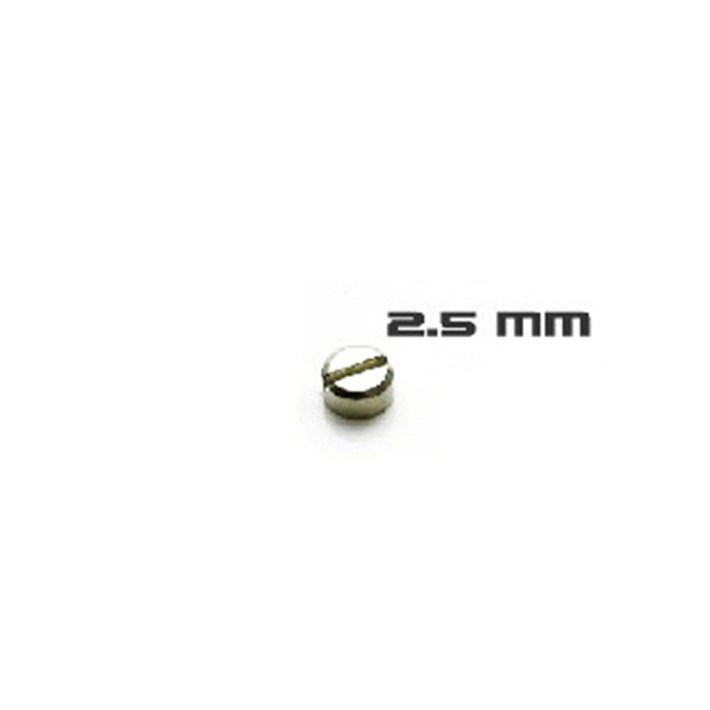 30pcs Gepantserde Schroeven Mo - Model Kit Gundam Mg recensie en prijs